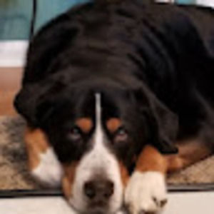 Meet your Posher, Traci